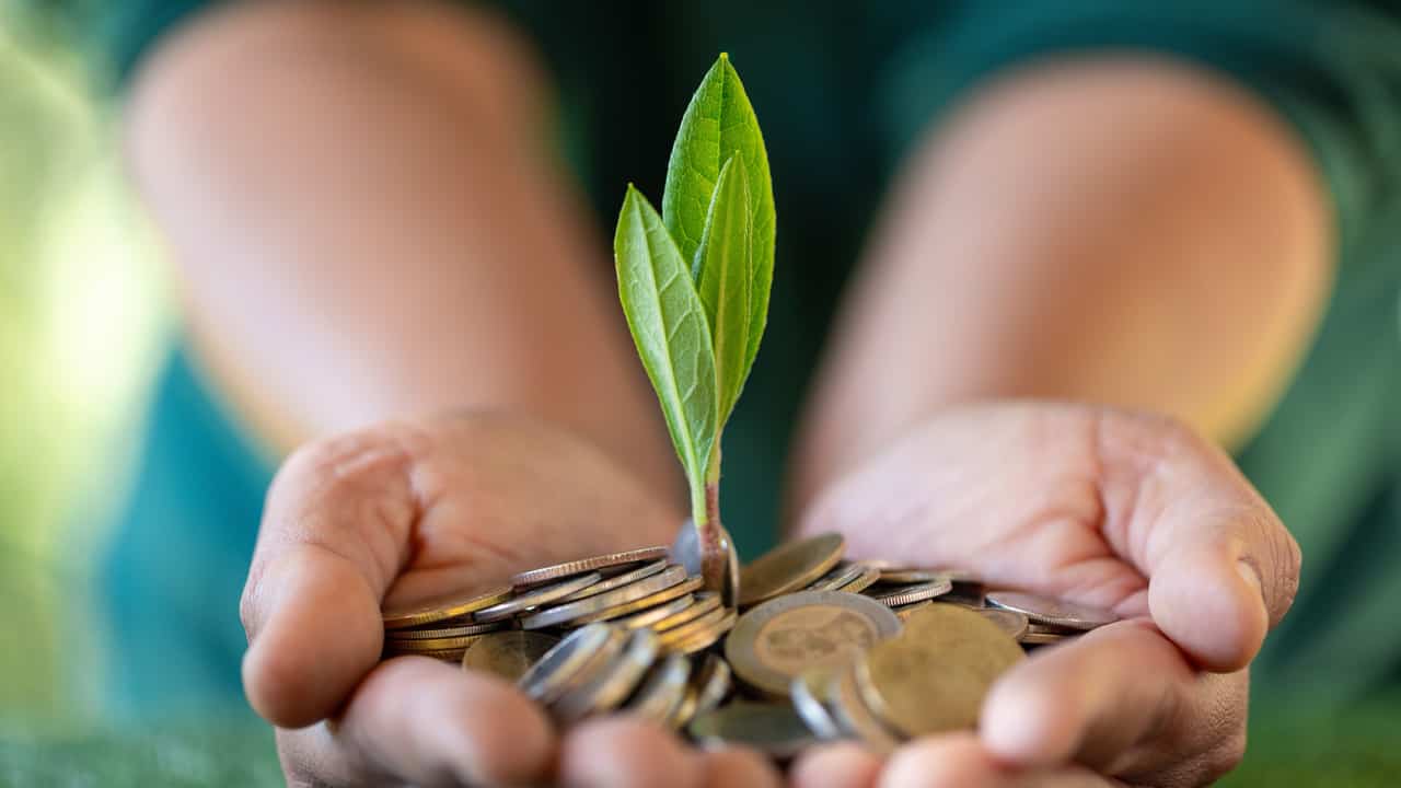 Image of hands with a leaf growing out of money