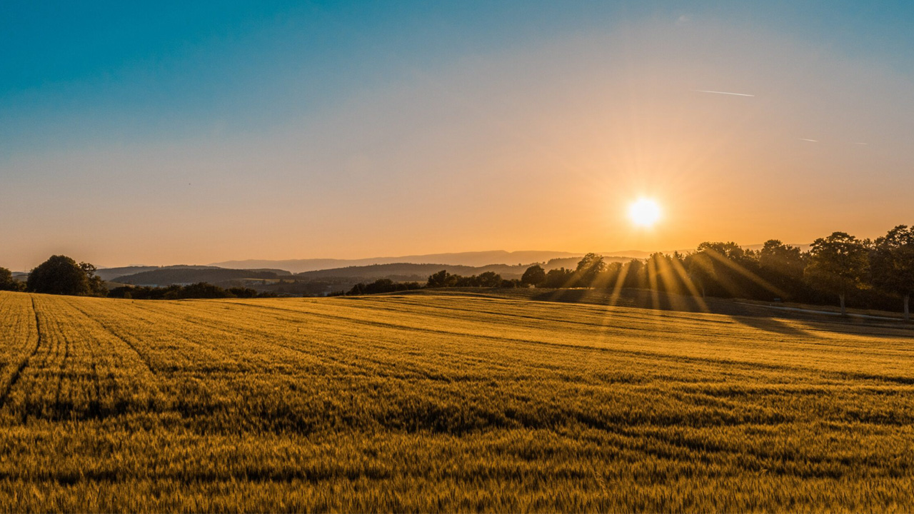 Sunset over a beautiful piece of land.