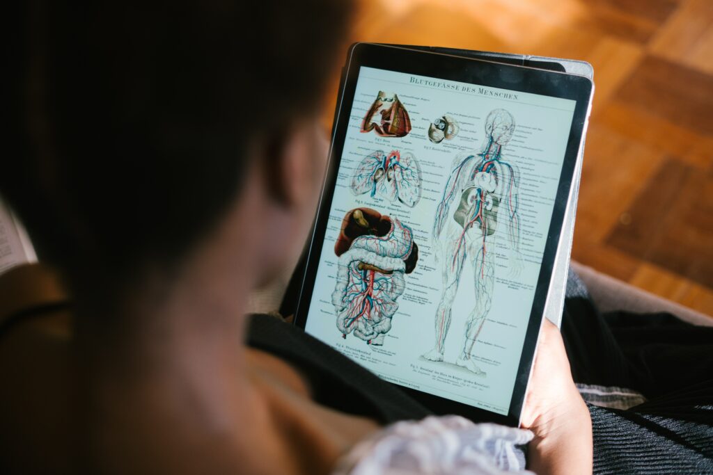 Student Looking at Anatomy Diagram