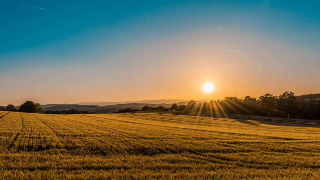 Photo of Farm Land